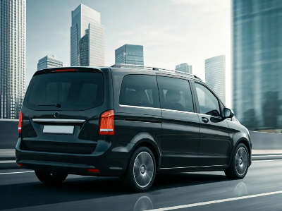 VIP City Tours